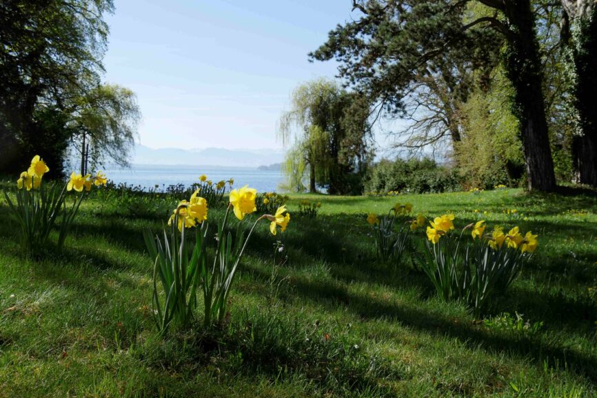 Bild Frühjahrs-Ermutigungen